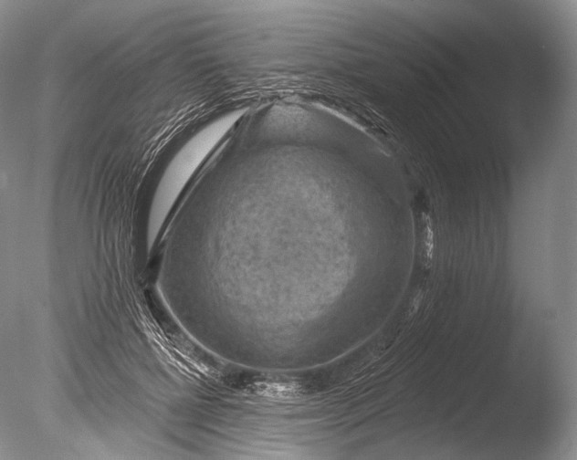 X0000085800552200703301501