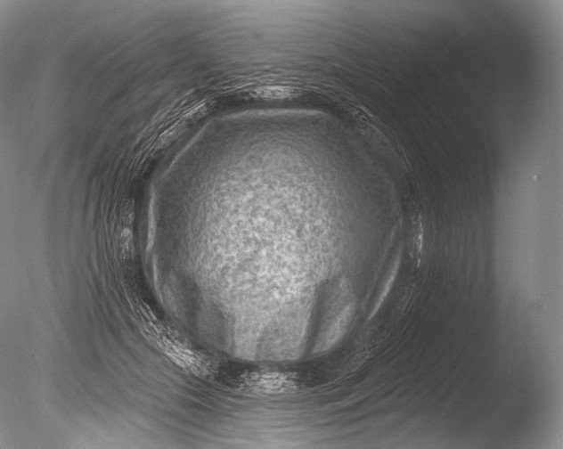 X0000085800553200703301501