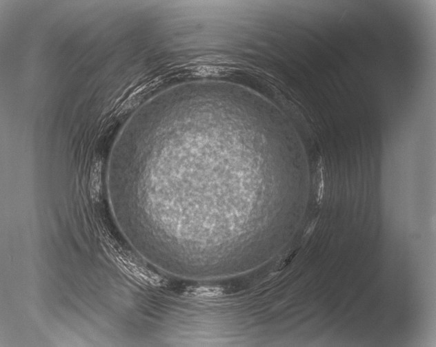 X0000085800554200703301501