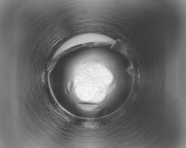 X0000085800556200703301501