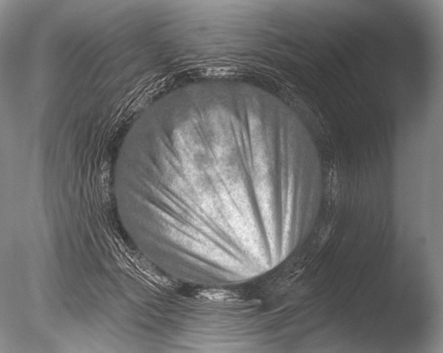 X0000085800557200703301501