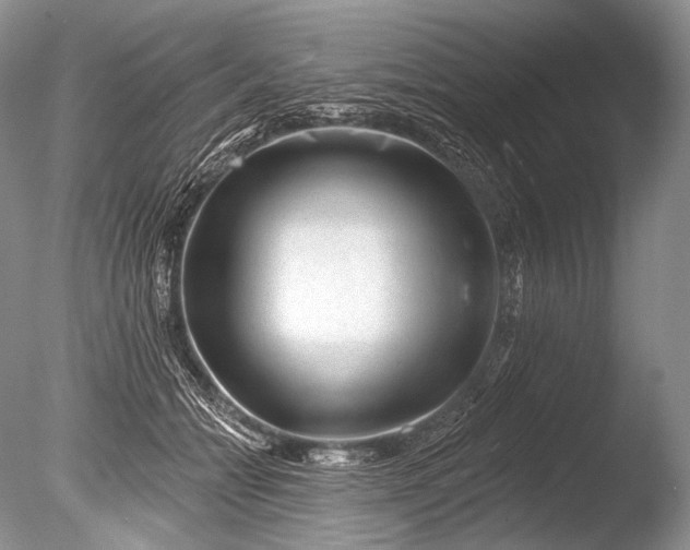 X0000085800558200703301501