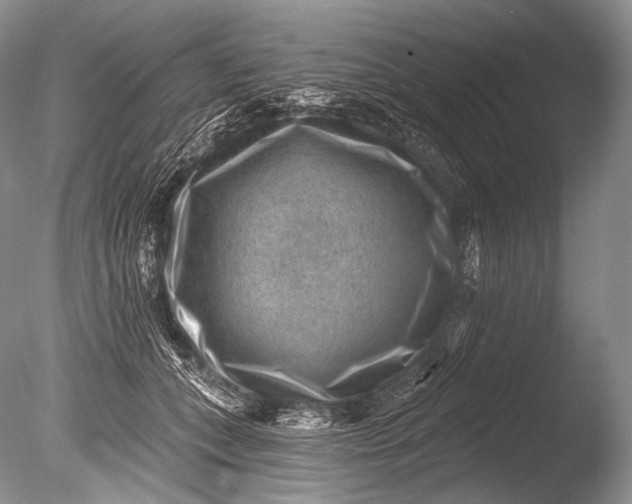 X0000085800559200703301501