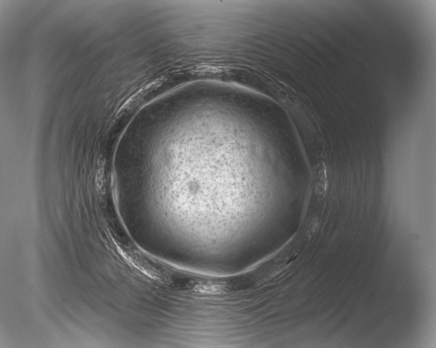 X0000085800560200703301501