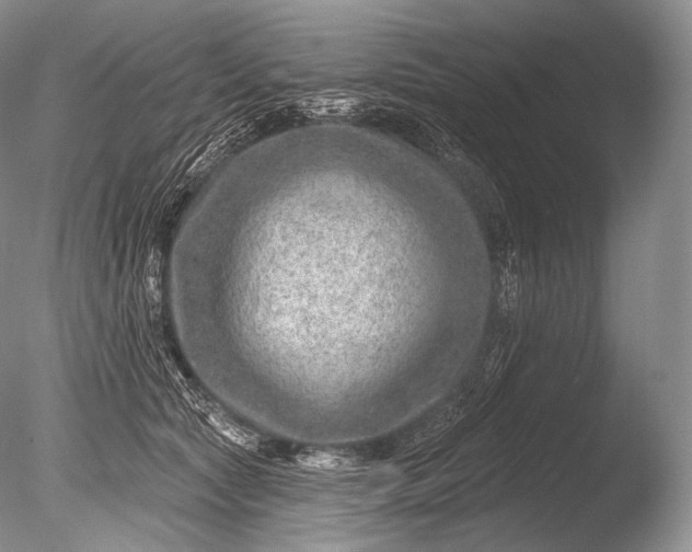 X0000085800561200703301501