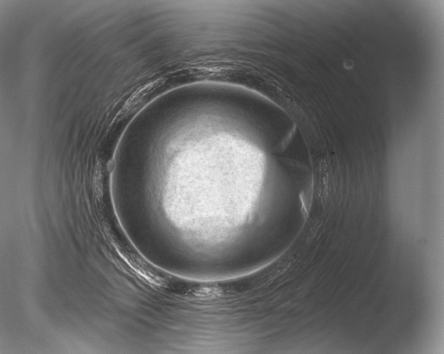 X0000085800562200703301501