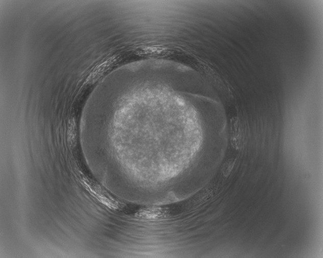 X0000085800563200703301501