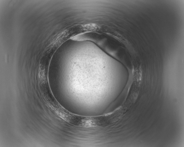 X0000085800564200703301501