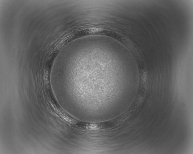 X0000085800565200703301501