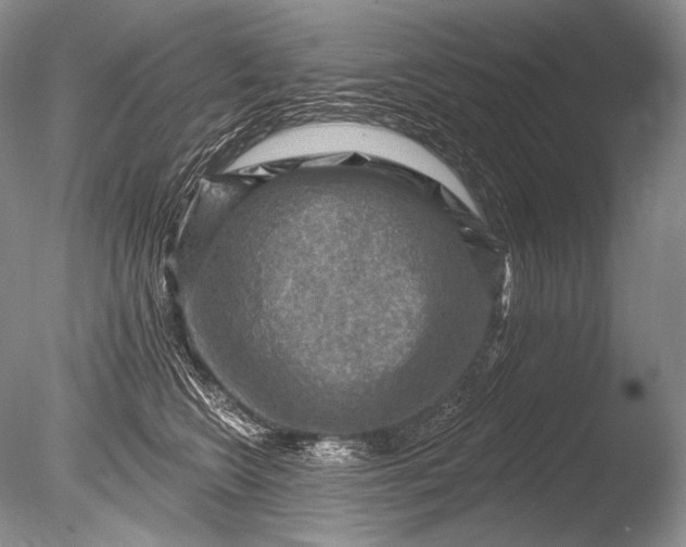 X0000085800566200703301501