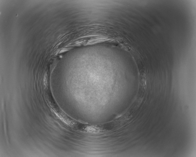 X0000085800568200703301501