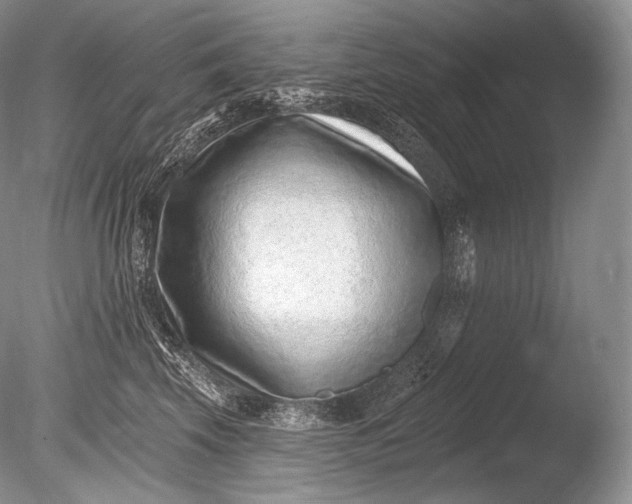 X0000085800569200703301501