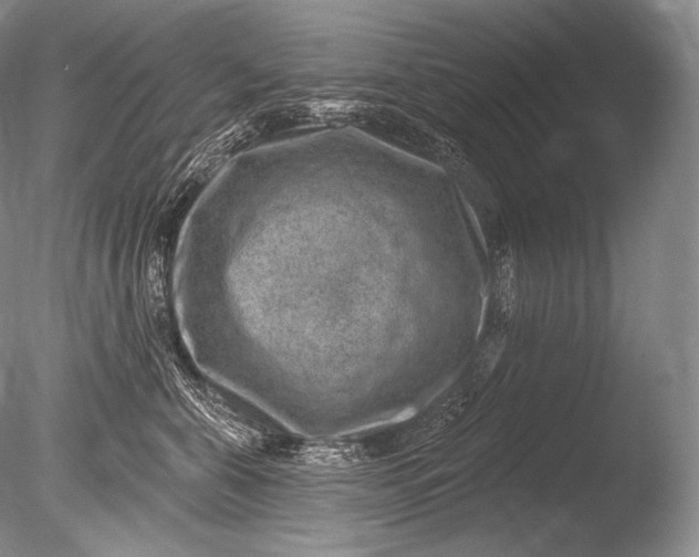 X0000085800571200703301501