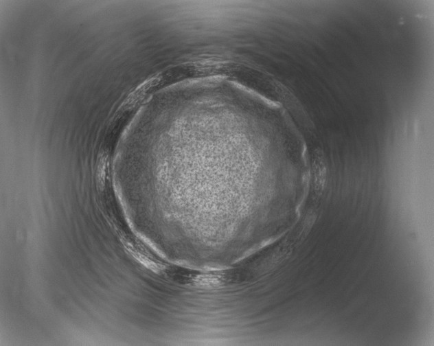 X0000085800574200703301501