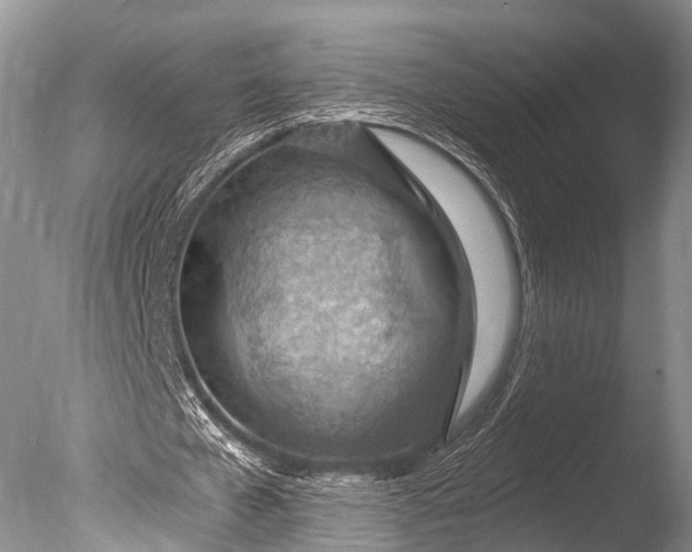 X0000085800577200703301500