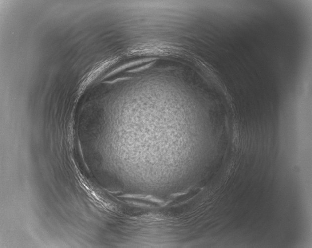 X0000085800578200703301500