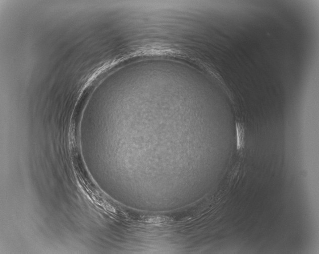 X0000085800579200703301500