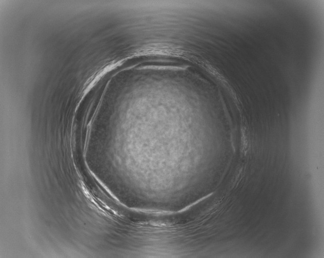 X0000085800580200703301500