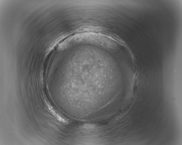 X0000085800581200703301500