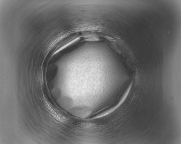 X0000085800582200703301500