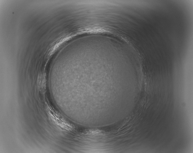 X0000085800583200703301500