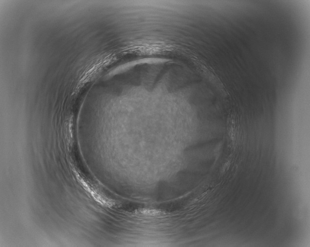 X0000085800590200703301500