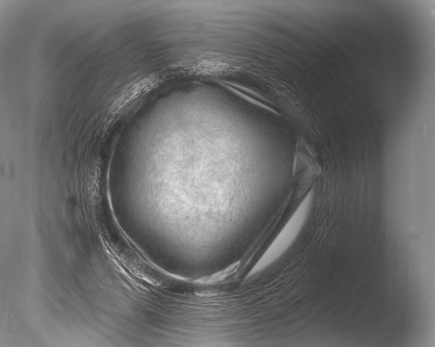 X0000085800591200703301500