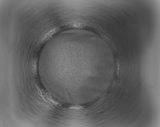 X0000085800595200703301500