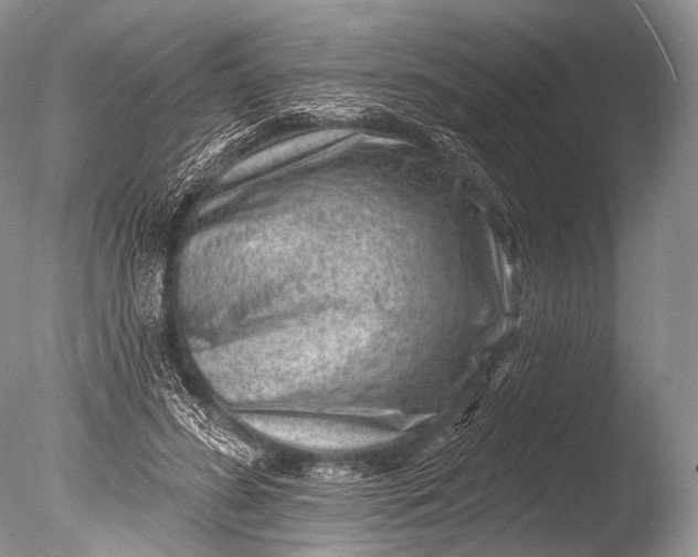 X0000085800596200703301500