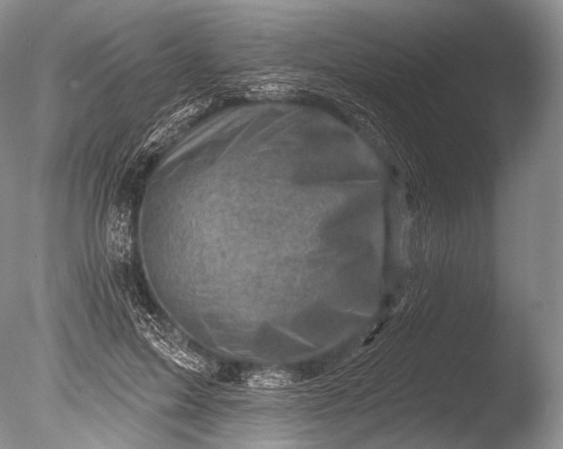 X0000085800599200703301500