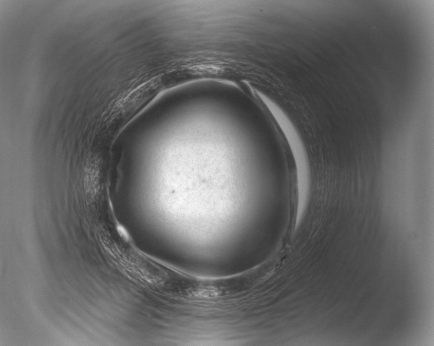 X0000085800600200703301500