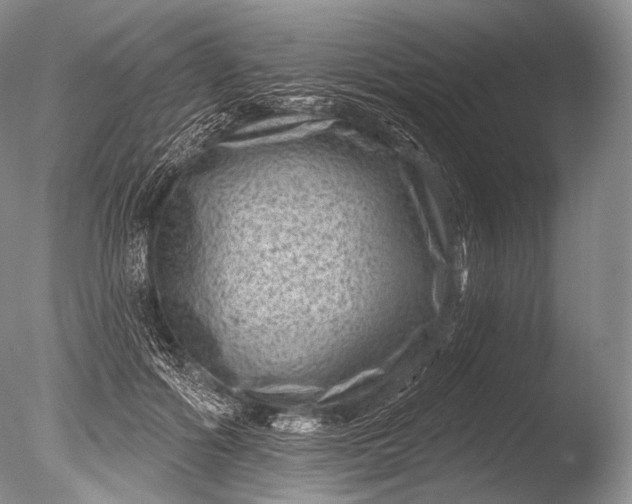 X0000085800602200703301500