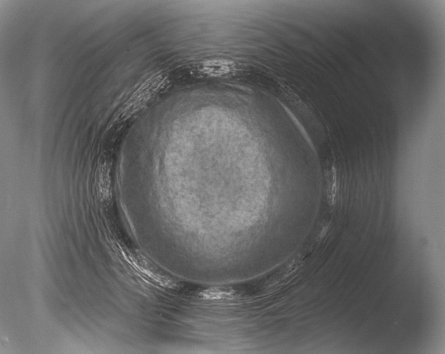 X0000085800606200703301500