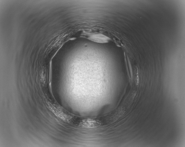 X0000085800607200703301500