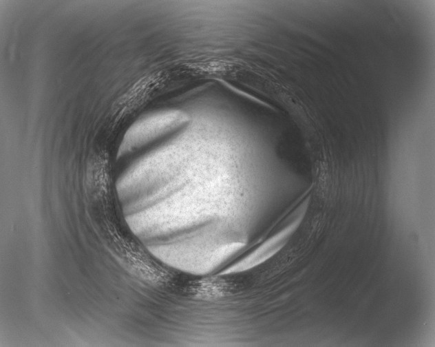 X0000085800612200703301500