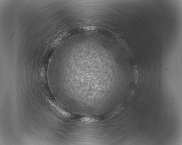 X0000085800614200703301500