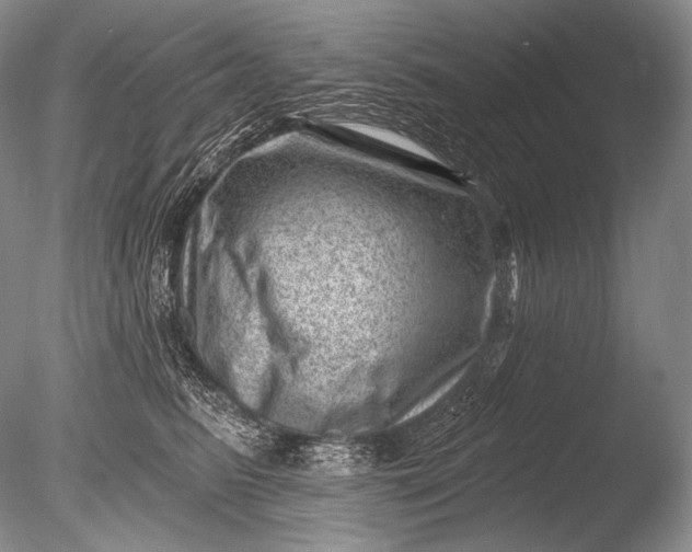 X0000085800615200703301500