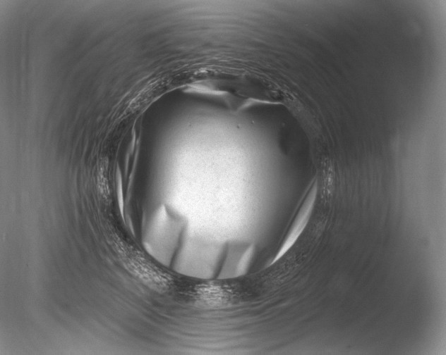 X0000085800616200703301500