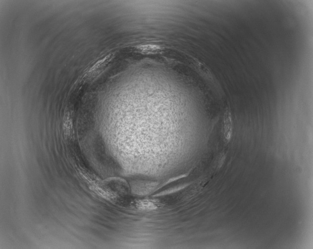 X0000085800618200703301500