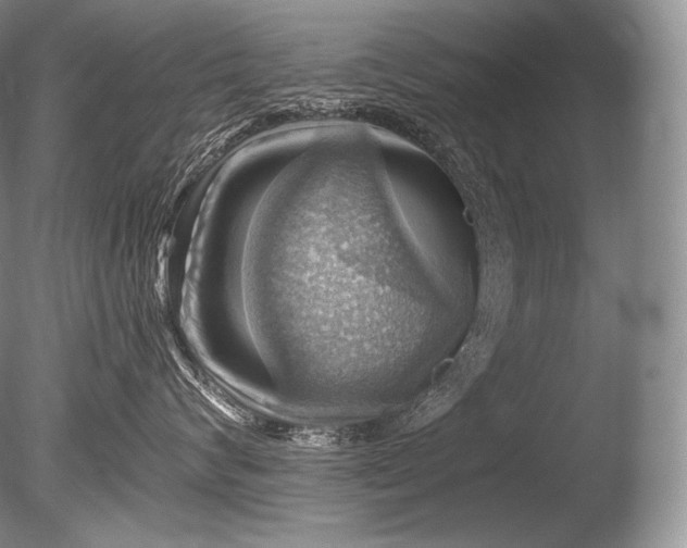 X0000085800624200703301500