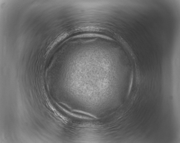 X0000085800625200703301459