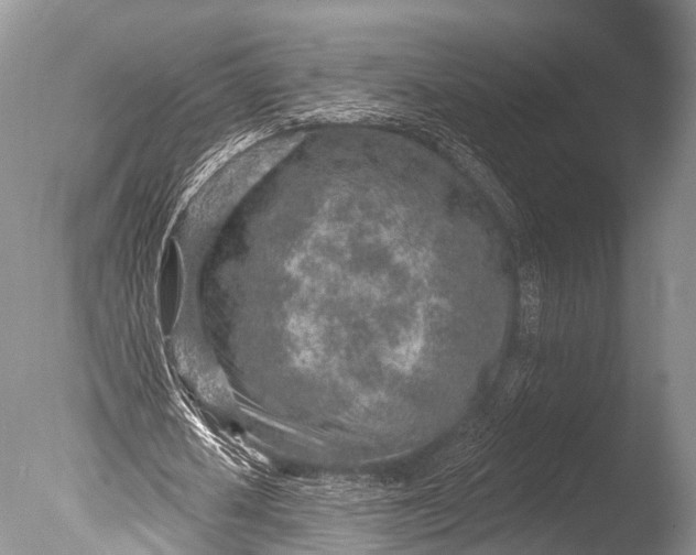 X0000085800626200703301459