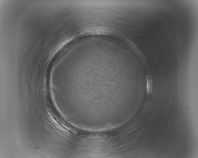 X0000085800627200703301459