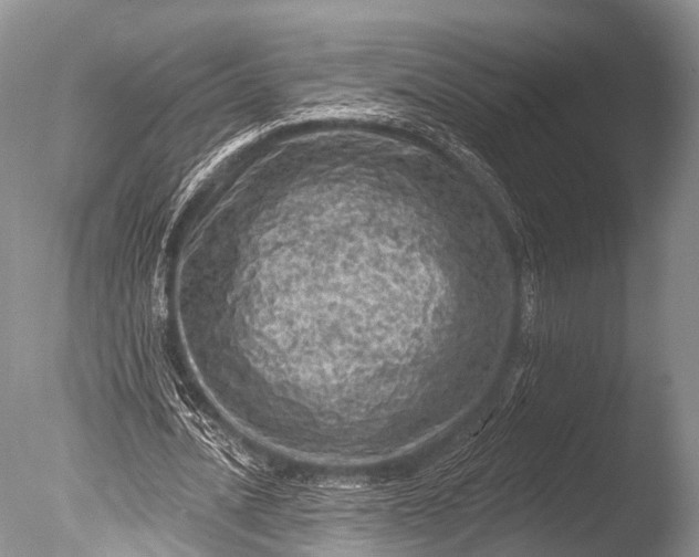 X0000085800628200703301459