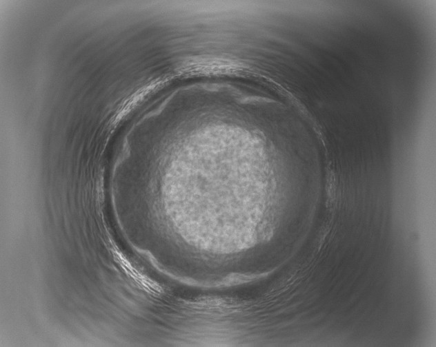 X0000085800629200703301459