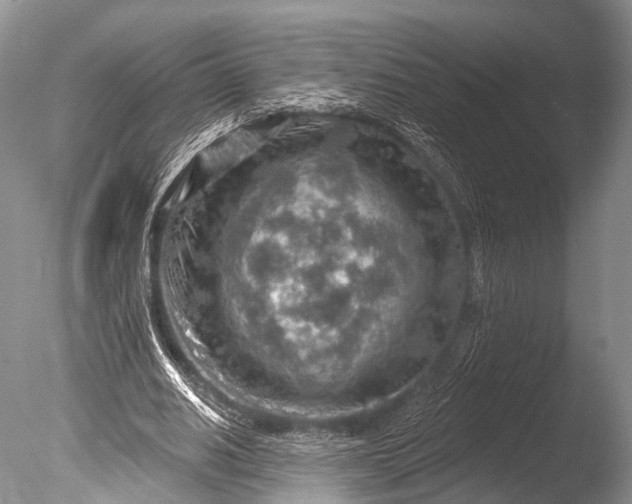 X0000085800630200703301459