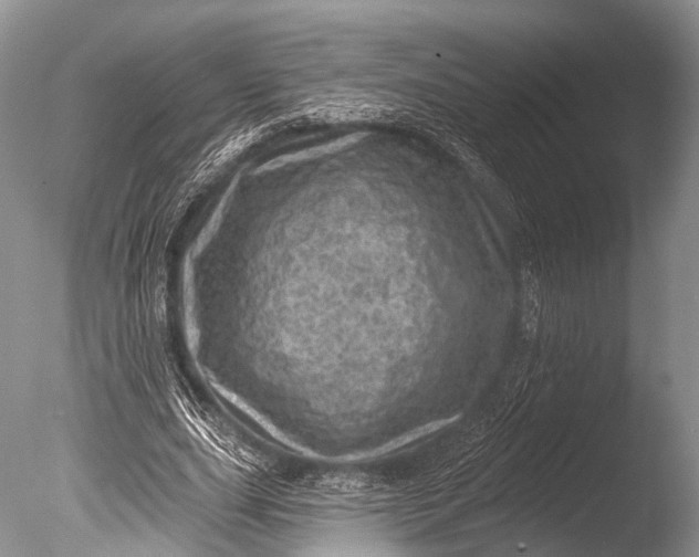 X0000085800631200703301459