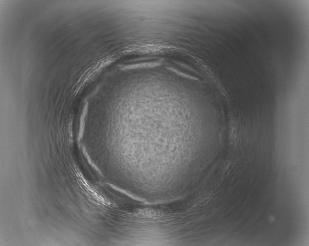 X0000085800633200703301459