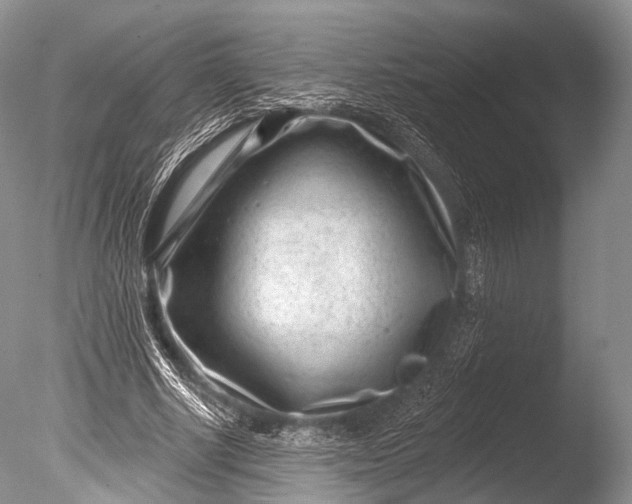 X0000085800634200703301459