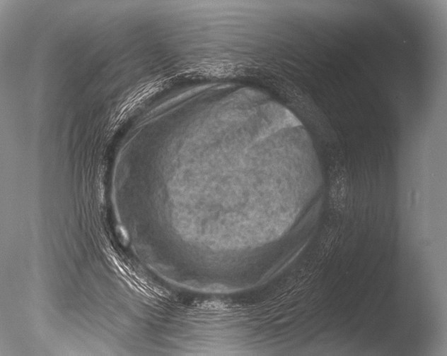 X0000085800635200703301459